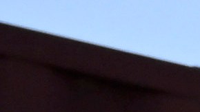 La “guerra” de Trump contra los cárteles es un favor a México, dice el vicepresidente.