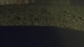 Vehículo vandalizado