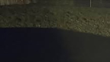 Vehículo vandalizado