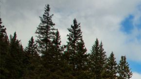 Wrangler 4xe Backcountry 2025