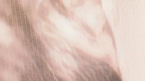 Yadhira Carrillo divorcio Juan Collado