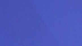 Yailin La Más Viral derrochó estilo y sensualidad desde las alturas.