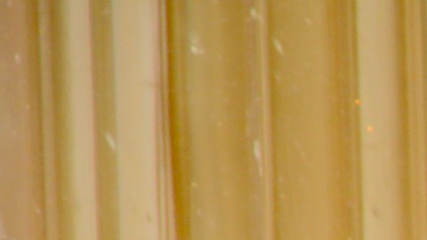 Aleska Génesis
