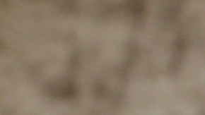 familia de Aleska Génesis arresto