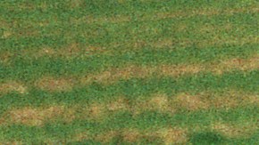 Nuevas tarifas de arancelarias a China afectan directamente los agricultores estadounidenses