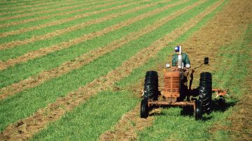 Nuevas tarifas de arancelarias a China afectan directamente los agricultores estadounidenses