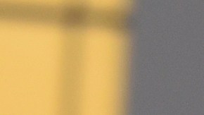 Bad Bunny Calvin Klein