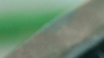 Las plantas parecían normales, pero al observar más de cerca, descubrió pequeños puntos negros en la tierra y algunos hasta saltaban.