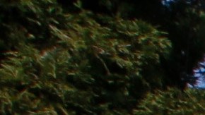 California, Texas y Florida son los estados con mayor cantidad de estudiantes latinos.