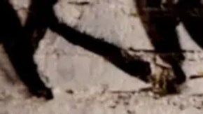 Jay, un traficante que cruzó la frontera a México desde Los Ángeles, dice que siempre habrá demanda de fentanilo.