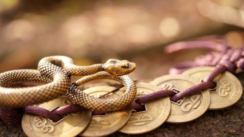 La buena fortuna del Año de la Serpiente llega para estos signos en marzo.