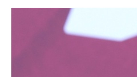 Gala Montes y Bárbara Islas