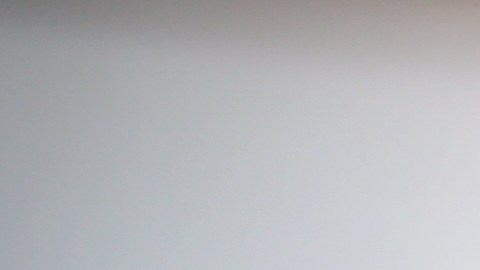 Short permanece bajo custodia del Servicio de Alguaciles de Estados Unidos y será sentenciada por el juez del Tribunal de Distrito de Estados Unidos J. Randal Hall
