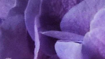 Los ángeles tienen un mensaje especial para cada signo del zodiaco.