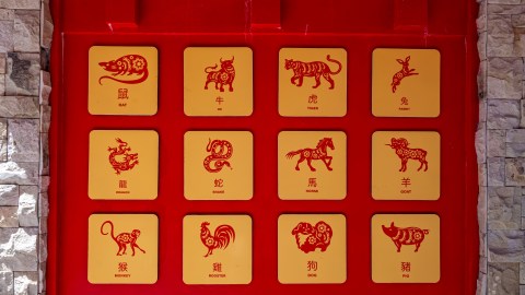 5 de los 12 signos chinos tendrán más suerte esta semana.