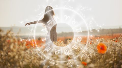 Algunos signos necesitan un reinicio en primavera.