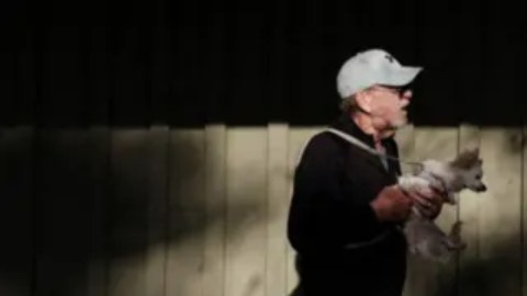 En las elecciones es habitual ver carteles en diferentes idiomas en las ciudades de Estados Unidos que señalan dónde votar.