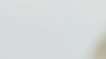 Kanye West y Sean Combs