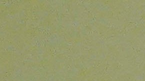 Katie Porter es una contrincante importante en las elecciones para la gubernatura de California.