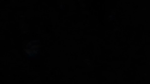 La Luna se posiciona en Piscis afectando más a estos signos zodiacales.