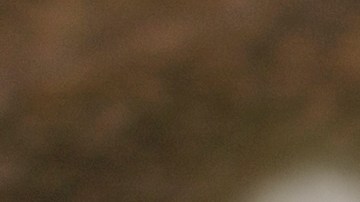 La prosperidad económica puede estar determinada por la numerología.