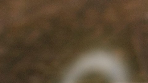 La prosperidad económica puede estar determinada por la numerología.