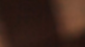 Los sueños con perros son de los más frecuentes.