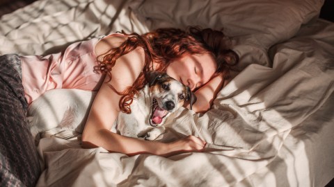 Los sueños con perros son de los más frecuentes.