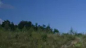 Polonia espera aumentar a 500,000 el número de soldados disponibles.