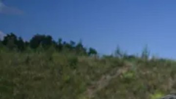 Polonia espera aumentar a 500,000 el número de soldados disponibles.