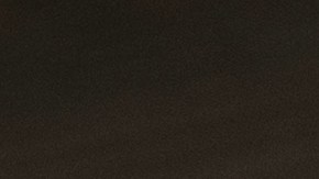 Cada año, el USCIS otorga unas 65,000 visas a trabajadores extranjeros calificados, por lo que será una competencia muy alta.