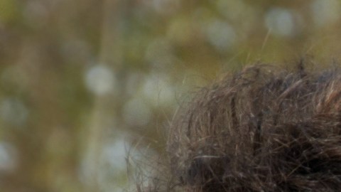 Algunos signos del zodiaco sí se prestan a una relación abierta, según la astrología.