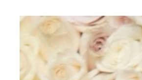 Salma Hayek y Sabrina Carpenter