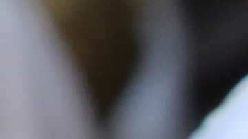 A través del santoral, la Iglesia honra a destacados santos.