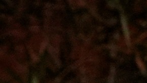 Selena Gomez y Benny Blanco