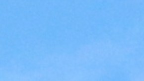 La instalación del servicio de Internet satelital de Elon Musk en la Casa Blanca ha generado toda una oleada de críticas por los nexos del multimillonario y la Admnisitración Trump