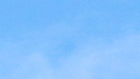 La instalación del servicio de Internet satelital de Elon Musk en la Casa Blanca ha generado toda una oleada de críticas por los nexos del multimillonario y la Admnisitración Trump