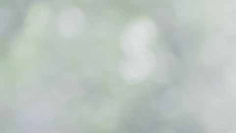 Las personas de estos signos suelen reservarse sus opiniones sinceras.