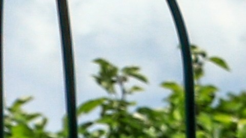 Las sillas reclinables que oferta Walmart vienen en diferentes colores (Imagen referencial, no es el producto real).