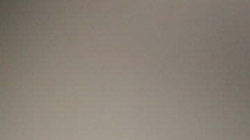 Las 7 monedas más codiciadas del mundo de la numismática