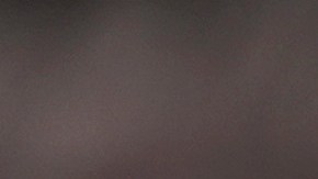 Trabajadores despedidos protestan contra las decisiones de Trump y Musk de despedir a miles de empleados federales.