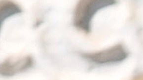 Jueza bloqueó la orden de Trump de prohibir a personas transgénero participar en el Ejército de EE.UU.