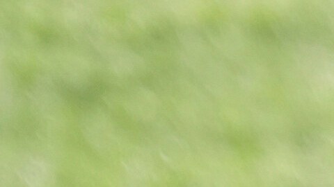 El presidente Donald Trump habló con reporteros el viernes en los jardines de la Casa Blanca.