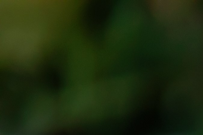 WhatsApp aplicará la medida en una fase de prueba y evaluará la respuesta de los usuarios antes de hacer la restricción definitiva.