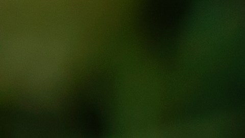WhatsApp aplicará la medida en una fase de prueba y evaluará la respuesta de los usuarios antes de hacer la restricción definitiva.