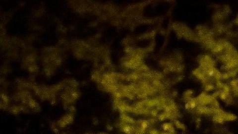 Al menos 9 muertos y múltiples heridos luego de que un conductor arrollara a una multitud en un festival en Canadá