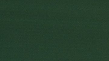 Carlos Alcaraz celebra en el Masters de Montecarlo.