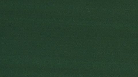 Carlos Alcaraz celebra en el Masters de Montecarlo.
