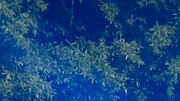 Se confirmó que no había clientes dentro de la tienda en el momento del tiroteo.