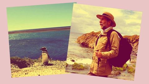 El pingüino que siguió a un profesor a su casa en una playa de Uruguay (y se quedó a vivir con él en Argentina)